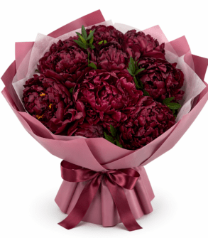 Bouquet of maroon peonies