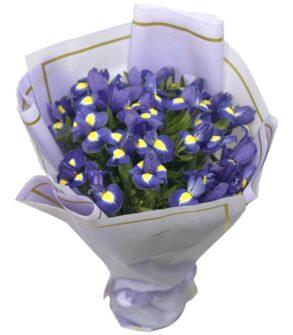 Buchet iriși - stânjenei mov