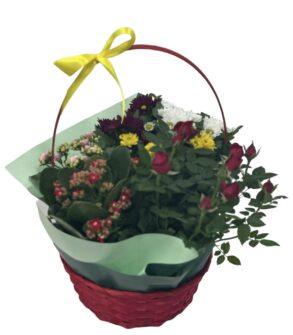 Coșuleț cu crizanteme, trandafiri și kalanchoe