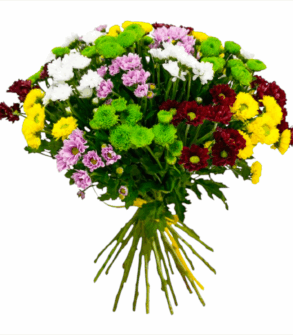 Buchet crizanteme colorate de toamna