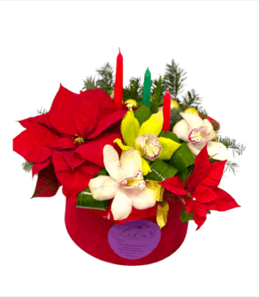 Aranjament de iarna - crăciunițe și orhidee