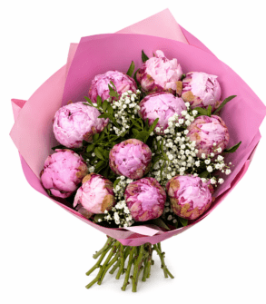Buchet cu 11 Bujori și floarea miresei