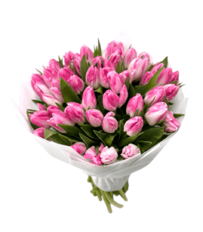 Buchet de primavara - 51 lalele roz