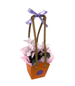 Cyclamen în ghiveci și punga de cadou
