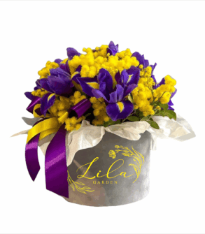 Cutie cu iriși și mimosa