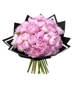 Buchete de flori 31 de Bujori roz Peonies in Bucharest