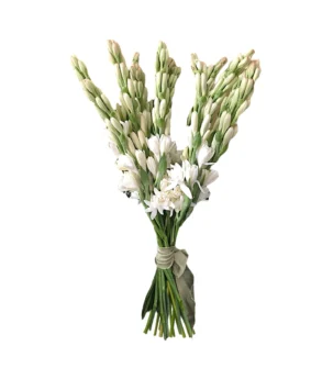 Buchet Tuberoze Chiparoase parfumate de sezon