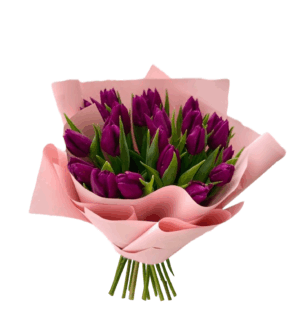 Buchet Lalele de Primavara Mov
