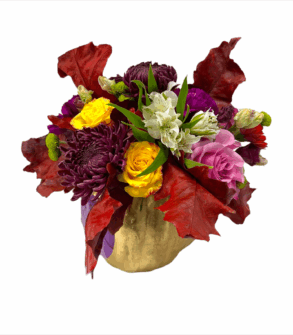 Dovleac cu Flori de Toamna