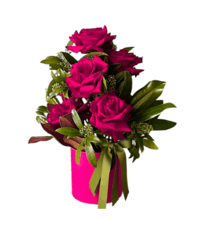 Cutie Trandafiri Fucsia