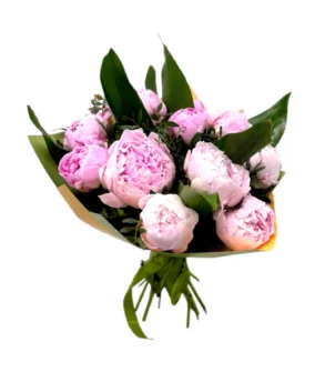 Buchet 17 Bujori și Frunze Aspidistra