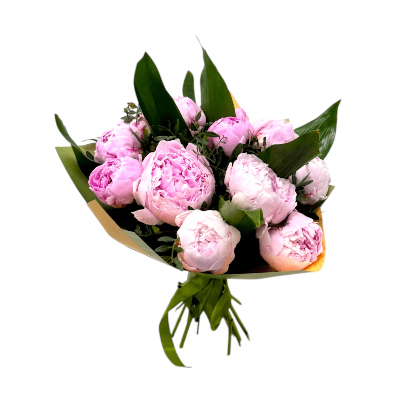 Buchet 17 Bujori și Frunze Aspidistra