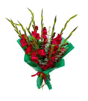 Buchet Gladiole roșii 9 fire ieftin