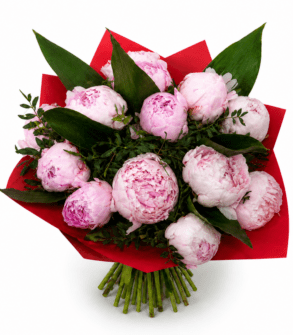 Bouquet of 17 Peonies and Leaves Aspidistra