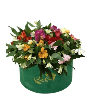 cutie aniversara alstroemeria colorate aranjament ieftin