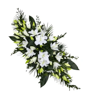 Jerbă Crini în burete cu apa Sector 1 2 3 4 5 6