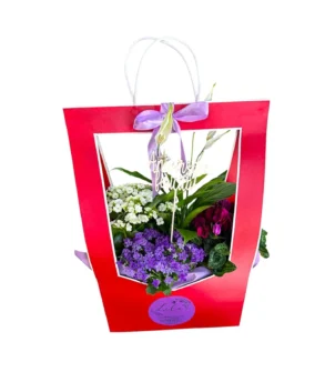 Aranjament cu Plante cu livrare la domiciliu bucuresti