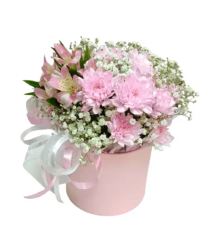 cutie flori crizanteme roz de toamna superba