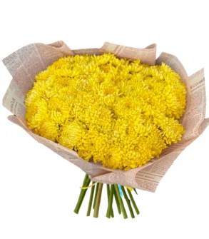 Buchet Mare de Crizanteme Galbene livrare rapida