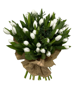 Fresh bouquet with 35 white tulips