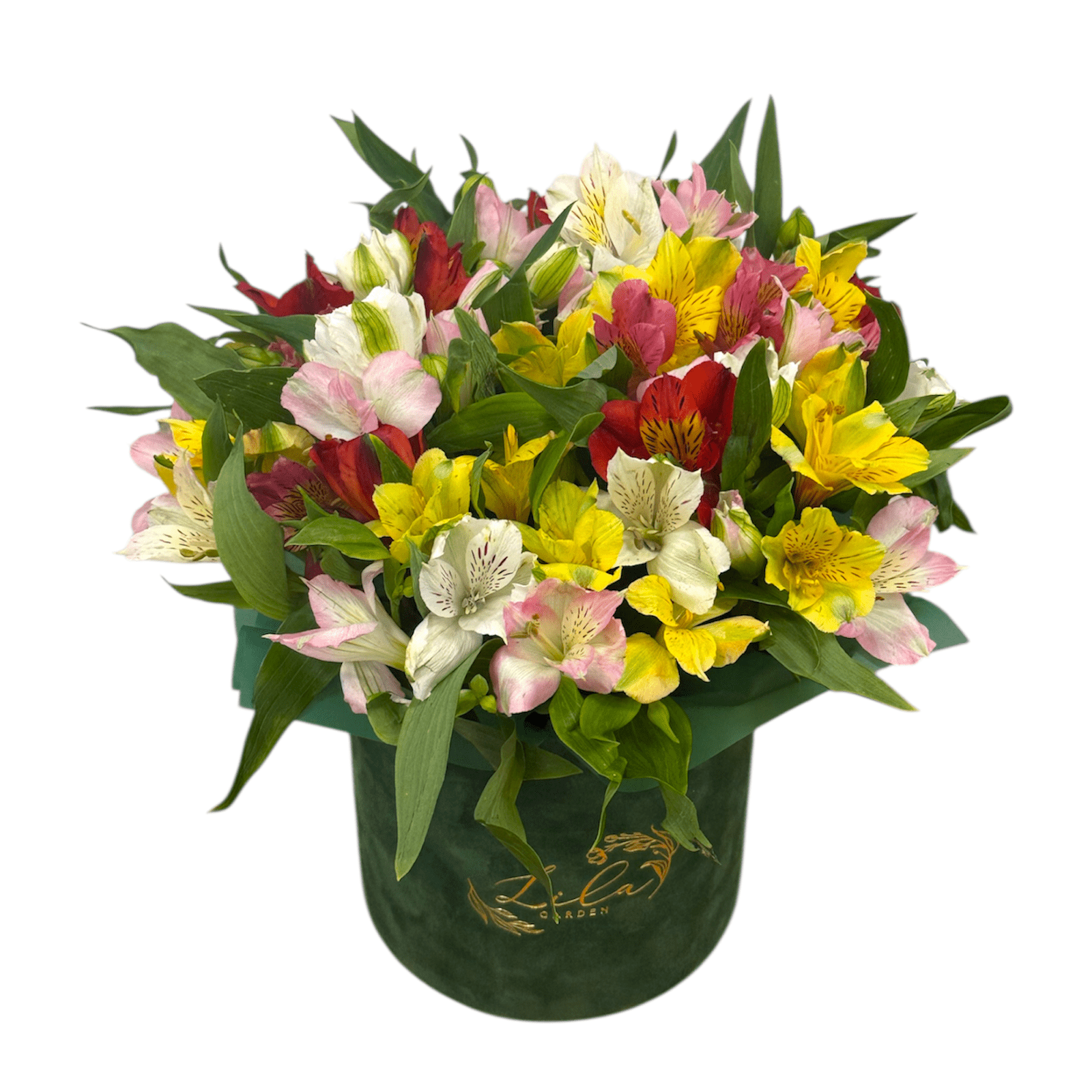 Aranjament Zi de Naștere Alstroemeria