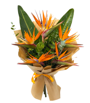 Strelitzia bouquet - Flower of Paradise