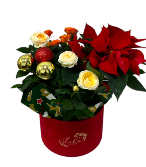 Poinsettia and mini Roses box