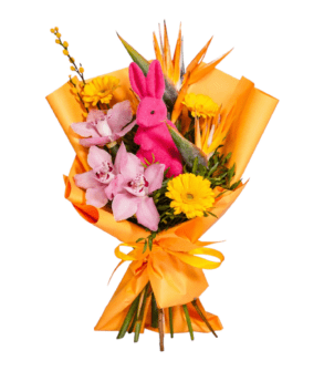 Buchet cu Iepuraș și Strelitzia