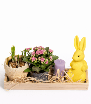 Aranjament Masa de Paste