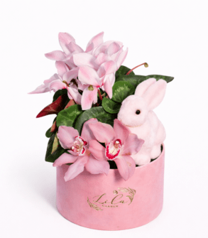 Cutie cadou pentru Paste -  Cyclamen și iepure