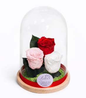 Aranjament în cupola cu 3 trandafiri Criogenati